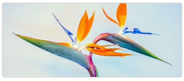 Virág képe (120x50 cm)