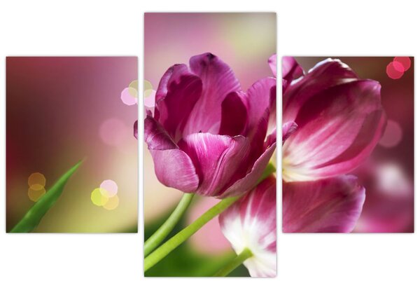 Rózsaszín tulipánok képe (90x60 cm)