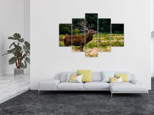 Szarvas képe (150x105 cm)