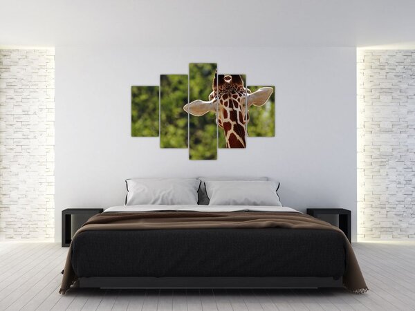 A zsiráf képe hátulról (150x105 cm)