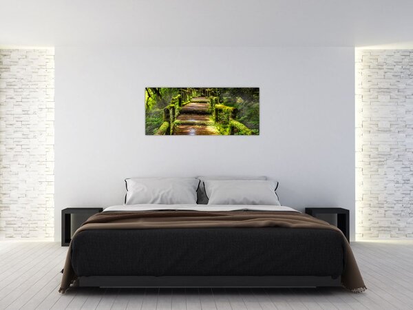 Lépcső az esőerdőben képe (120x50 cm)