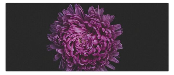 Lila virág képe (120x50 cm)
