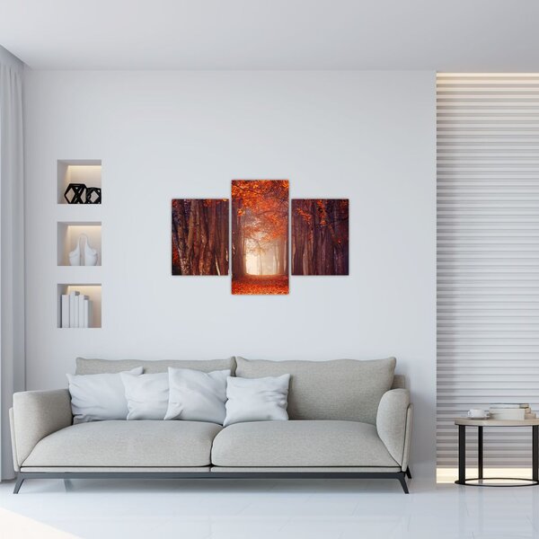 Kép - őszi erdő (90x60 cm)