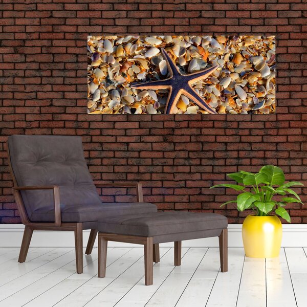 Egy tengeri csillag képe (120x50 cm)