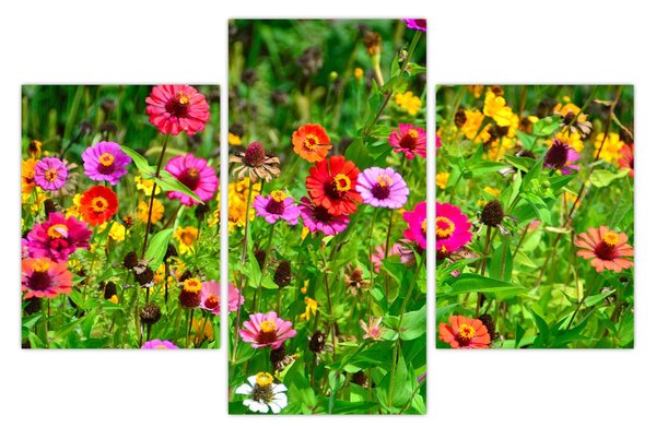 Réti virágok képe (90x60 cm)