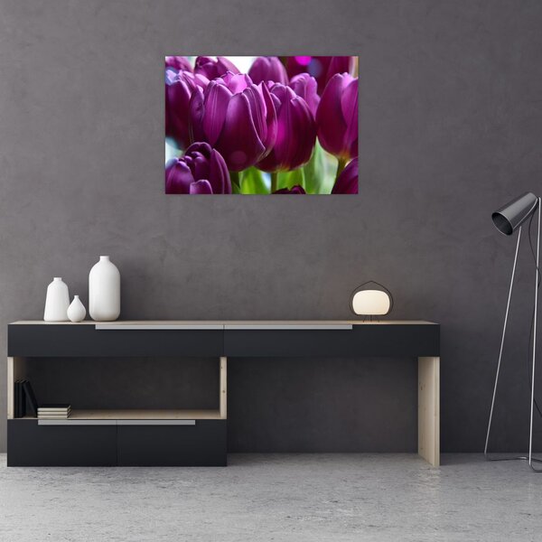Tulipán képe (70x50 cm)