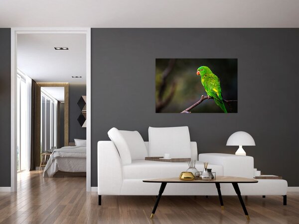 Papagáj egy ágon képe (90x60 cm)