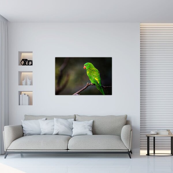 Papagáj egy ágon képe (90x60 cm)