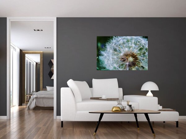 Elvirágzott pitypang képe (90x60 cm)