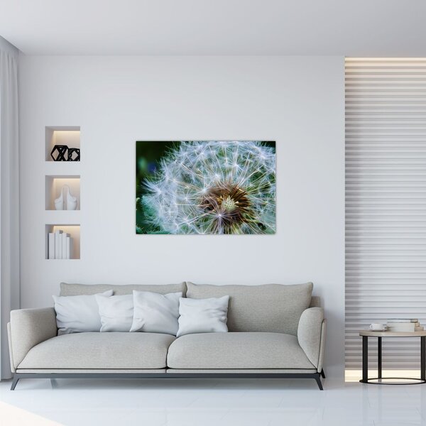 Elvirágzott pitypang képe (90x60 cm)