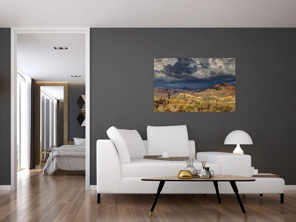 Kép - kaktuszok a természetben (90x60 cm)