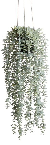 FLORISTA eukaliptusz felakasztható cserépben 65 cm