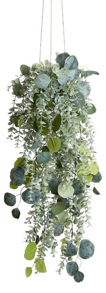 FLORISTA eukaliptusz mix felakasztható cserépben 65 cm