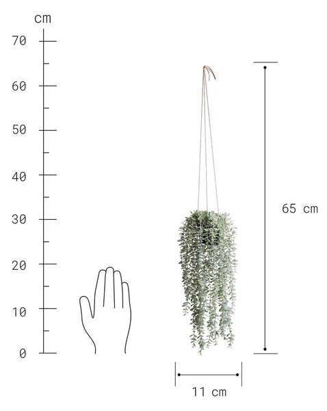 FLORISTA eukaliptusz felakasztható cserépben 65 cm