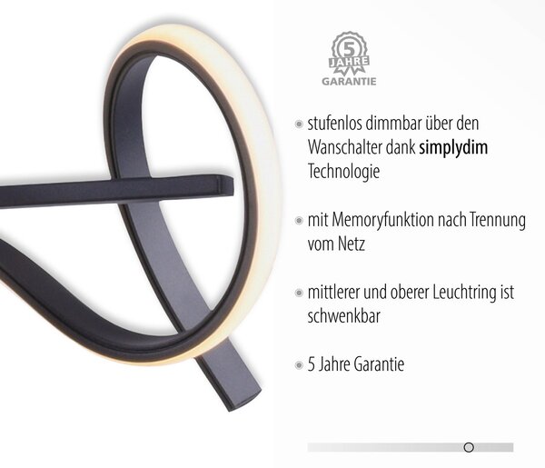 Paul Neuhaus modern függeszték curls fekete pln19033-18