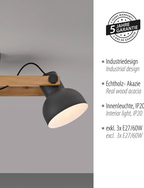 Paul Neuhaus loft spot lámpa cup 2.0 fekete fa pln15745-18