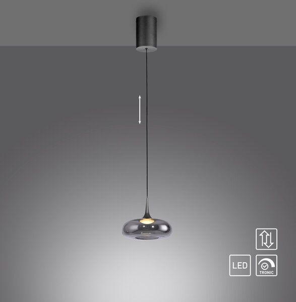 Paul Neuhaus modern függeszték posh szürke pln15692-15