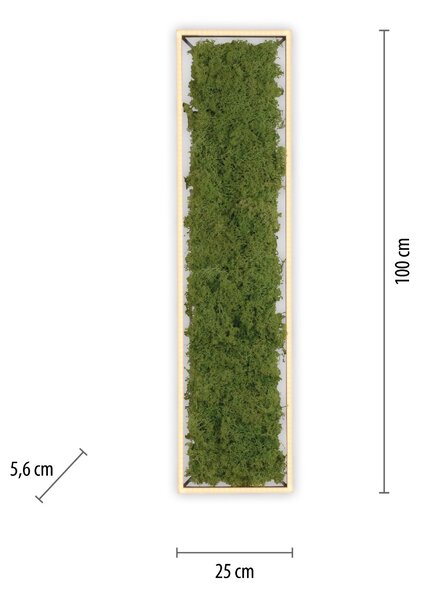 Paul Neuhaus modern skandináv mennyezeti lámpa green knut zöld pln15623-66