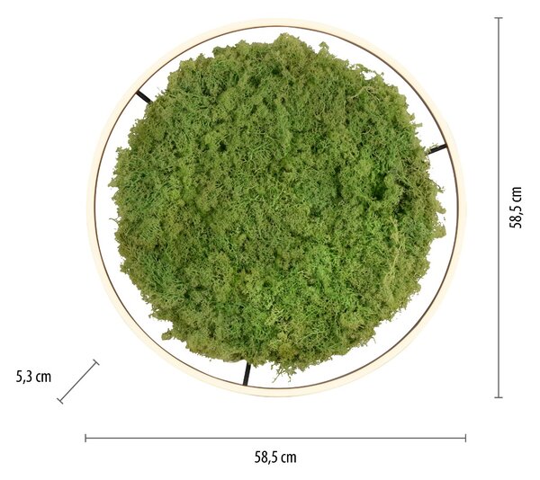 Paul Neuhaus modern skandináv mennyezeti lámpa green ritus zöld pln15392-66