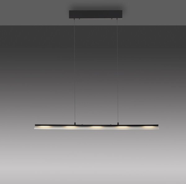 Paul Neuhaus modern függeszték nele fekete pln12288-18
