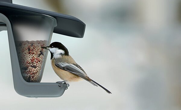 Birdyfeed Double Antracit Madáretető 280