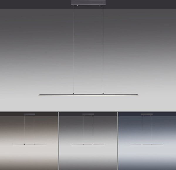 Paul Neuhaus modern függeszték pure-lite antracit pln8375-13