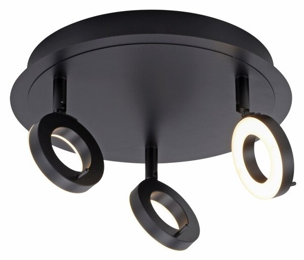 Paul Neuhaus modern spot lámpa sileda antracit pln6788-13