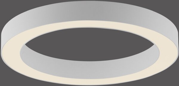 Paul Neuhaus modern mennyezeti lámpa pure lines round fehér pln6310-16