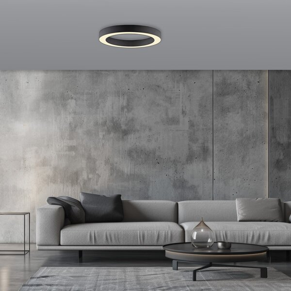 Paul Neuhaus modern mennyezeti lámpa pure lines round grafit pln6310-13