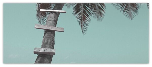 Kép - Palma a Karib-tengeren (120x50 cm)