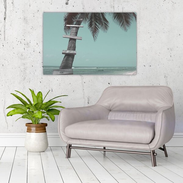Kép - Palma a Karib-tengeren (90x60 cm)