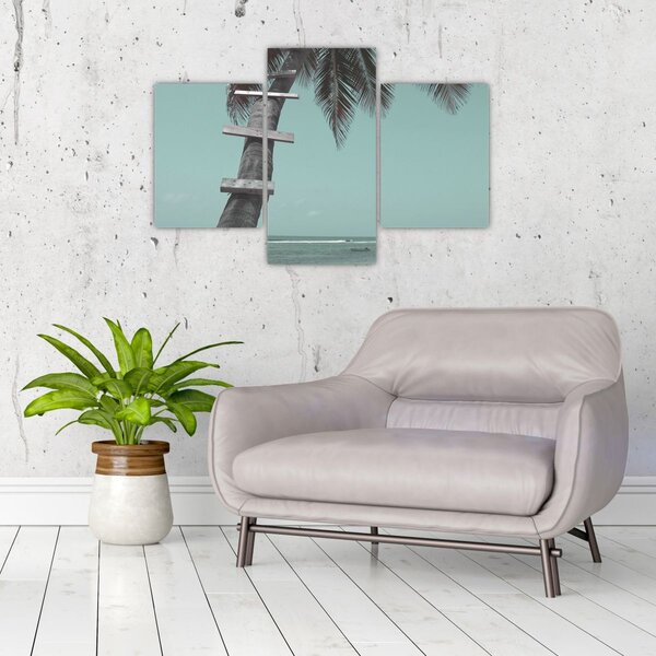 Kép - Palma a Karib-tengeren (90x60 cm)