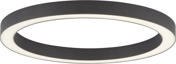 Paul Neuhaus modern mennyezeti lámpa pure-lines antracit pln6309-13