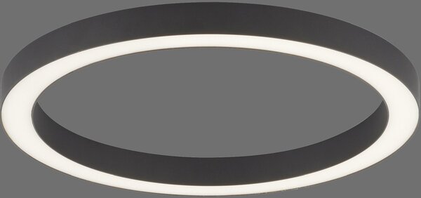 Paul Neuhaus modern mennyezeti lámpa pure-lines antracit pln6309-13