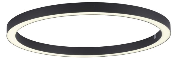 Paul Neuhaus modern függeszték pure-lines antracit pln6306-13
