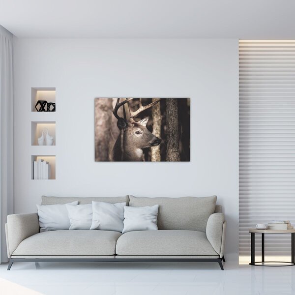 Kép - Szarvas az erdőben (90x60 cm)