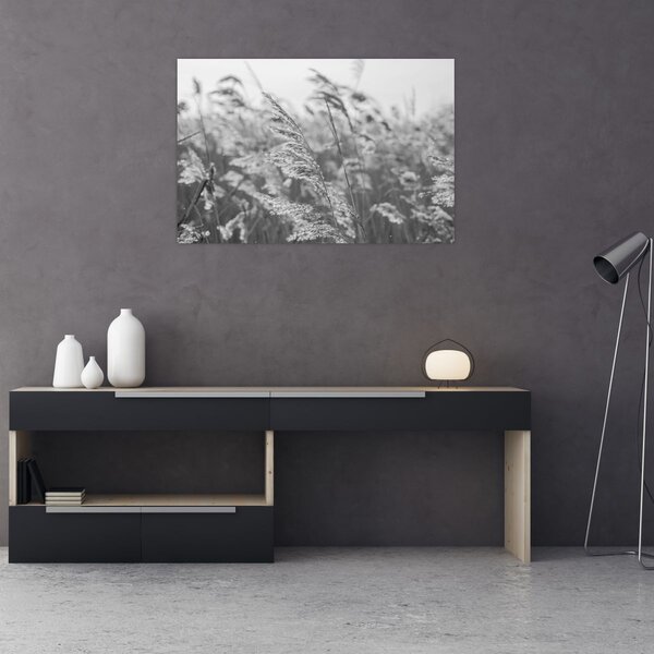 Kép - Fű a szélben (90x60 cm)
