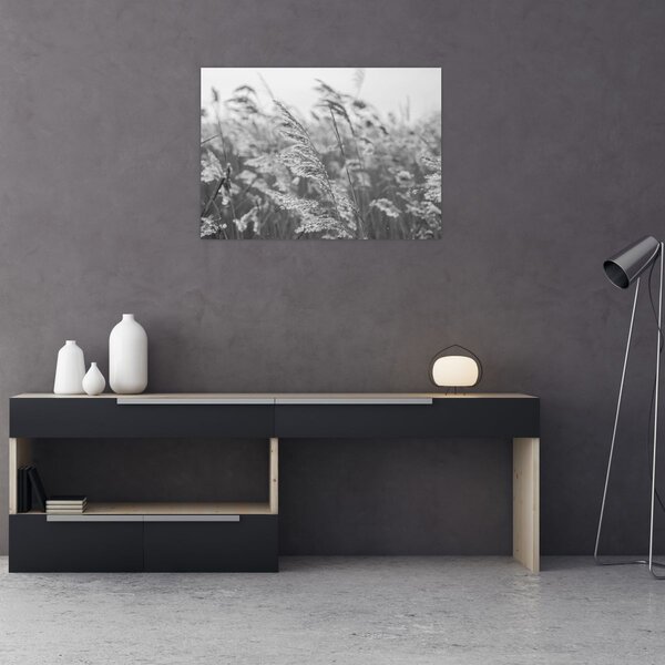 Kép - Fű a szélben (70x50 cm)