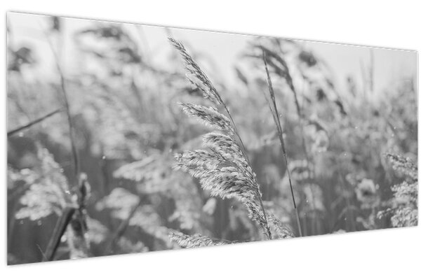 Kép - Fű a szélben (120x50 cm)