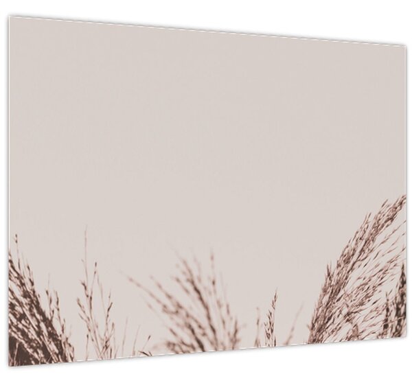 Kép - Szárított fű (70x50 cm)