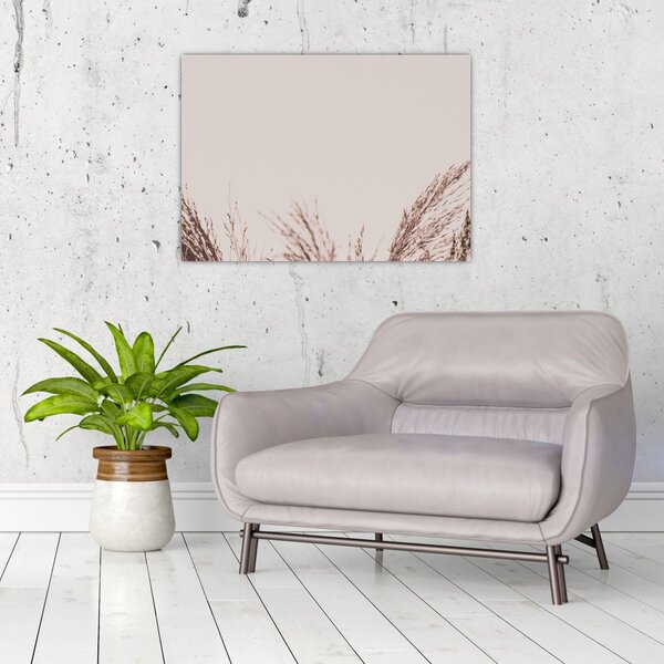 Kép - Szárított fű (70x50 cm)