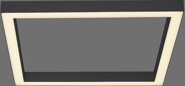 Paul Neuhaus modern mennyezeti lámpa pure-lines antracit pln6022-13