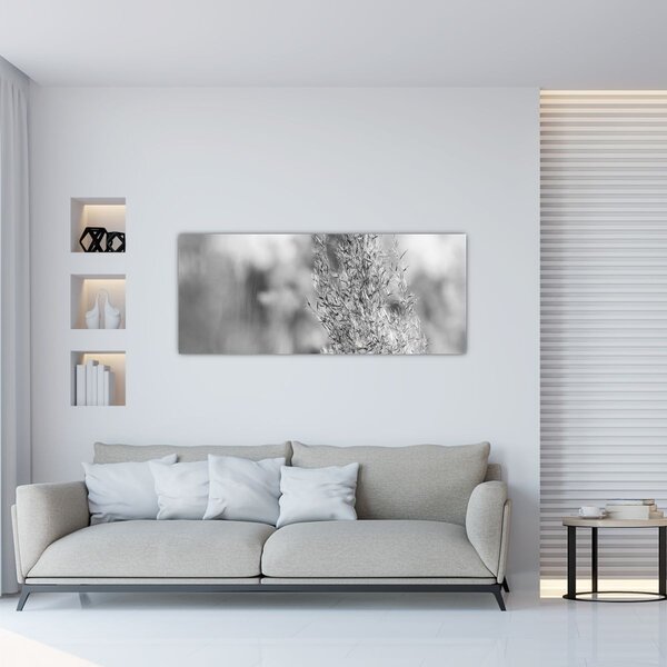 Kép - Boho pampafű (120x50 cm)