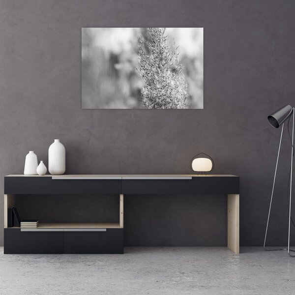Kép - Boho pampafű (90x60 cm)