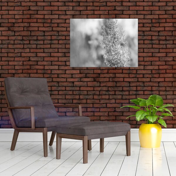Kép - Boho pampafű (70x50 cm)
