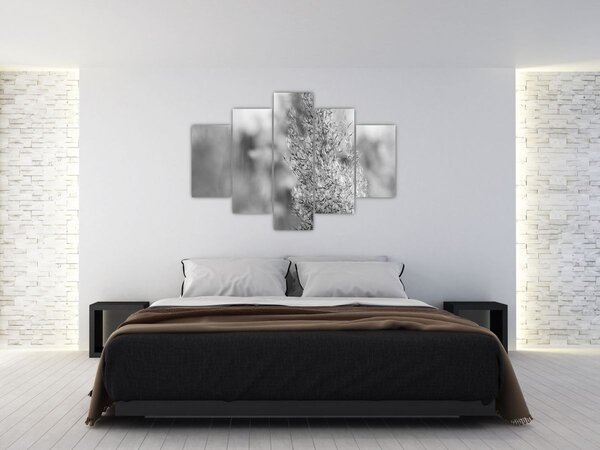Kép - Boho pampafű (150x105 cm)