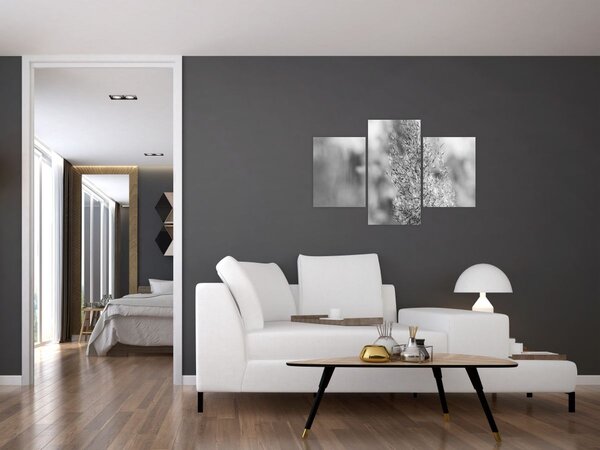 Kép - Boho pampafű (90x60 cm)