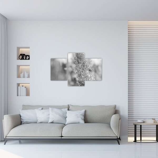 Kép - Boho pampafű (90x60 cm)