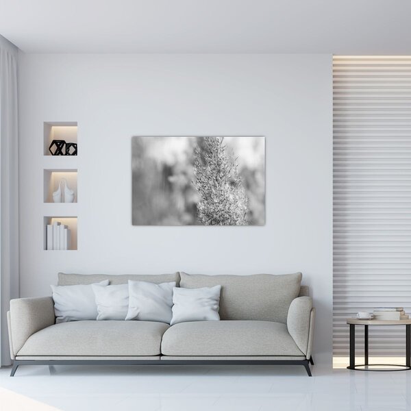 Kép - Boho pampafű (90x60 cm)
