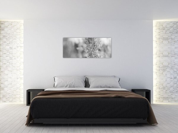 Kép - Boho pampafű (120x50 cm)
